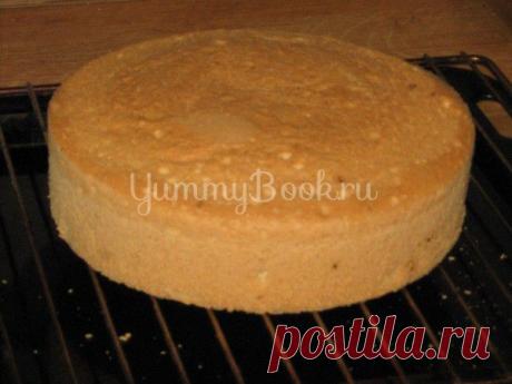 Бисквит для тортов за 30 мин - пошаговый рецепт с фото