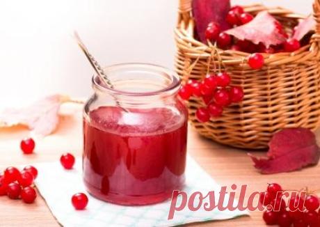 3 уникальных рецепта здоровья на основе калины