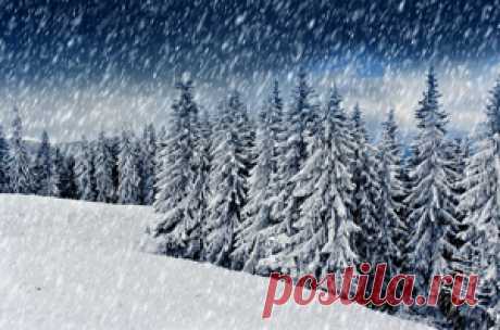 Олеся Емельянова. Снег сверкает, снег кружится. Текст новогодней детской песни на стихи Олеси Емельяновой.
Эта новогодняя песенка познакомит малышей с понятиями тепло и холодно.