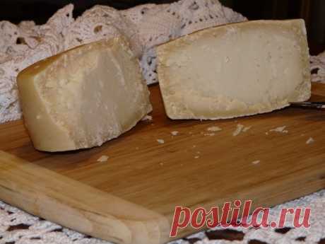 Многие спрашивают : отчего горечь в сырах ? Причин много напишу основные : 1) молоко должно быть зрелым, т.е. с определённым уровнем кислоты, для чего ? т.к. молочные мезофильные культуры всегда находятся в молоке, они перерабатывают лактозу , вырабатывают молочную кислоту, создают среду неблагоприятную для развития патогенных культур ; молоко не должно быть излишне жирным ( особенно сейчас это вопрос встаёт очень остро, т.к осеннее молоко отличается большим содержанием жи...