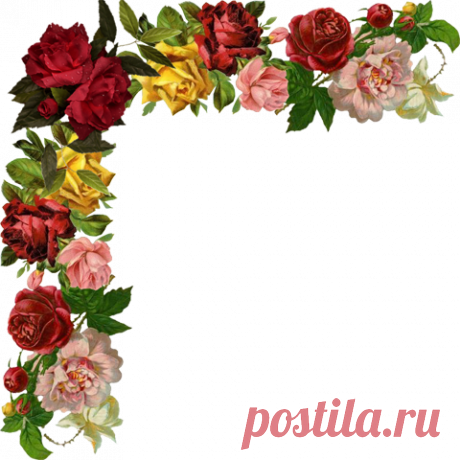 винтажные цветы в PNG для декупажа