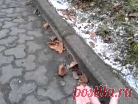 Парк в Трускавце кормлю белочку - YouTube