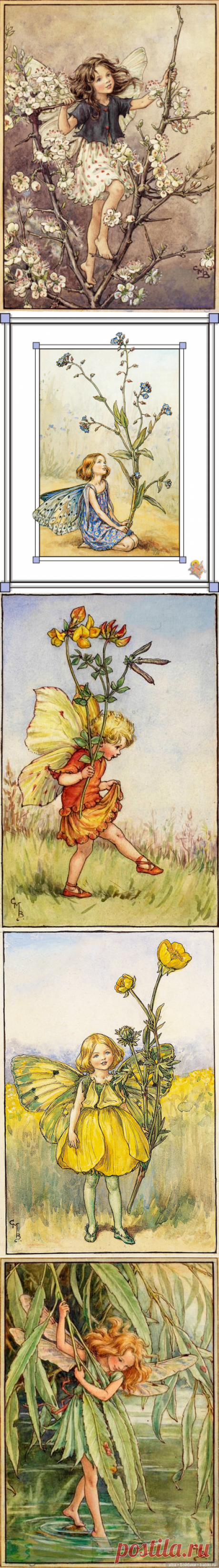 "Flower Fairies - Sheila Burgos" — card of the user Катерина В. in Yandex.Collections