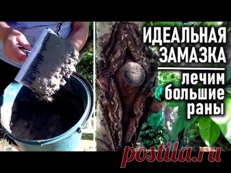 заживление больших ран на деревьях