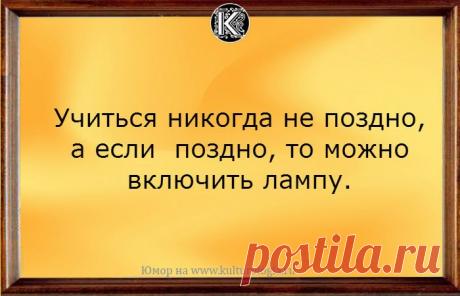20 юмористических открыток-наблюдений, которые помогут принять правильное решение в любой ситуации