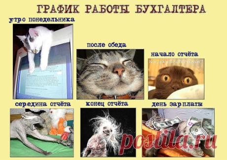 О работе бухгалтера