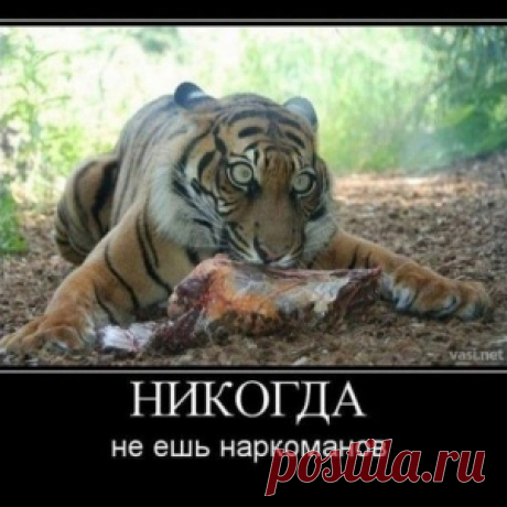 Египет. Бедуин изо всех сил выбивает свой ковер. Подходит русский турист: – Чё, братан, не заводится?