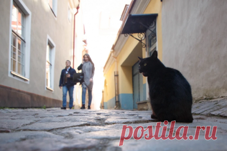 Знаки Вселенной, предупреждающие о бедах | Vdoh. No. Venie Чердачника | Дзен