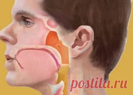 Гимнастика для шеи, которая просто творит чудеса — ВОПРОСЫ-ОТВЕТЫ