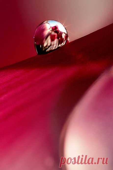 One Drop iPhone Wallpaper HD