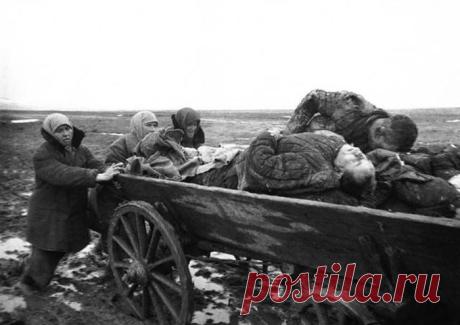 ДЕНЬ ПОБЕДЫ (ВОЕННЫЕ ФОТОГРАФИИ. 1941 — 1945 год) | СССР