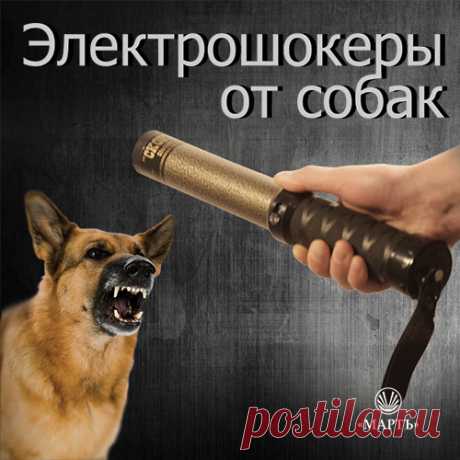 В этой статье мы постараемся подробнее осветить этот вопрос, и разъяснить читателям, насколько эффективным может быть шокер при нападении бродячих или диких животных.