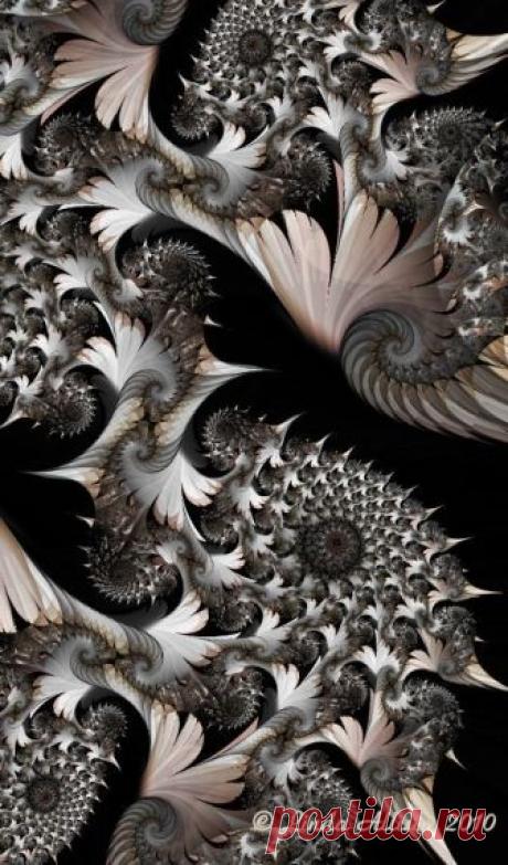 3248cea042d28674d7d88eb4c4a13907.jpg (470×800)