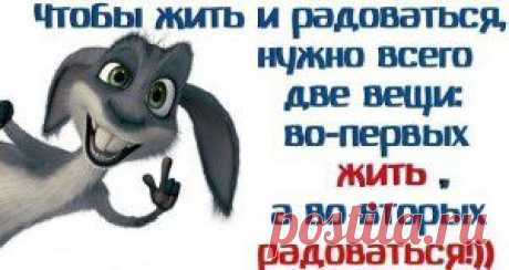 Веселые реальные истории из жизни.