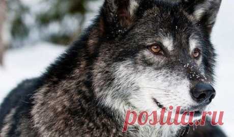 Наступает такой момент, когда надоедает прощать, просить, уговаривать, ссориться. Когда проще все послать нахер. Без слов.