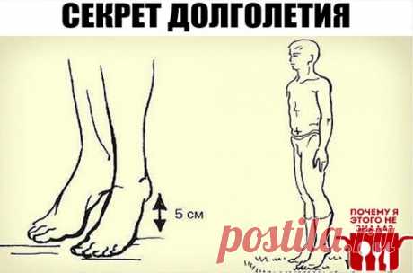 Секрет долголетия
Академик Микулин создал гимнастику, состоящую из простейших упражнений, своеобразных сотрясений — ударах пятками о пол. Эта методика позволяет улучшить кровоток, предотвратить закупорку вен и нормализовать давление. Также улучшается работа мозга: от тяжести и боли в голове не остается и следа.
Встань прямо, стопы соедини, зубы сожми. Приподними пятки на 3–5 см от пола, затем резко опустись. В результате возникшего встряхивания венозные клапаны получают дополнительный импуль