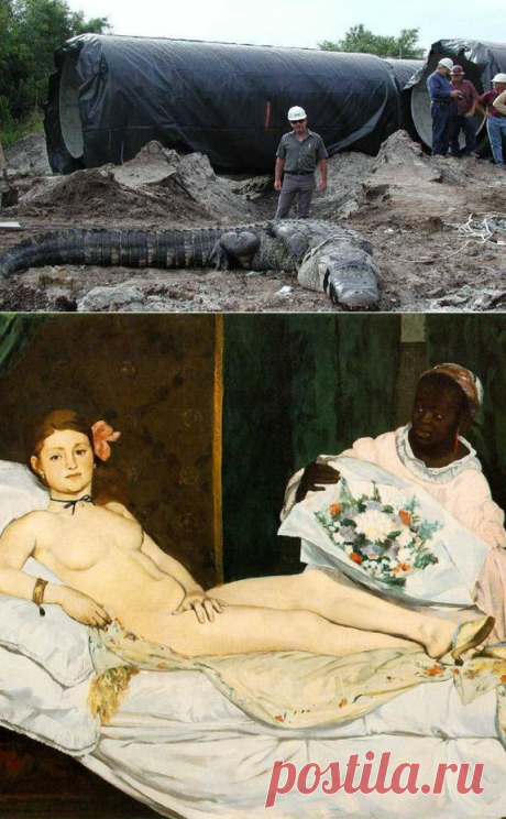 10 самых странных вещей, найденных в канализации — Субботний Рамблер