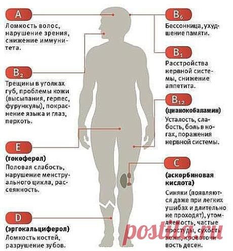 о пользе питания и много полезных советов