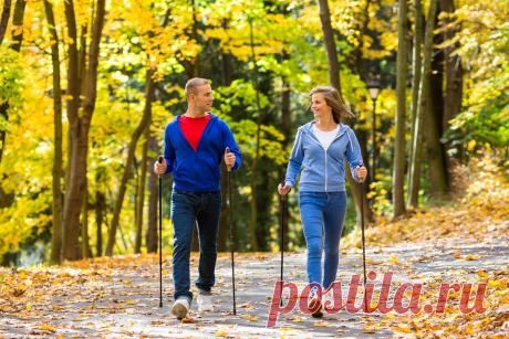Всемирный день ходьбы. Как сделать ходьбу максимально полезной для здоровья | Прикладная кинезиология + сезонные рецепты здоровья | Дзен
