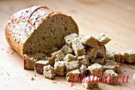 Подкормка растений дрожжами – как приготовить раствор и когда удобрять?