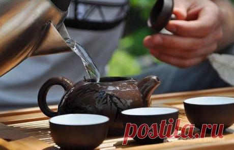 Кулинарные статьи » Кулинарная книга рецептов с фотографиями