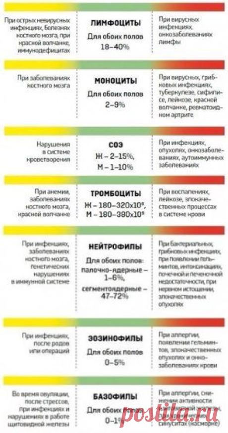 Одноклассники