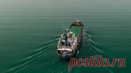 Япония не получила согласия России на возобновление обменов с Курилами