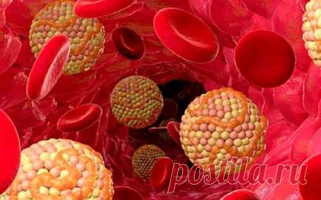 В одних источниках пишут, что холестерин полезен для организма, другие же утверждают, что это органическое соединение только вредит человеку. На самом деле,