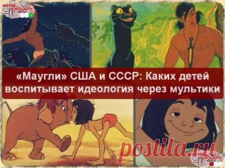 Закон и Порядок. Защитим себя сами!