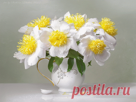 Фотонатюрморты Светланы Лебедевой-мой слайд