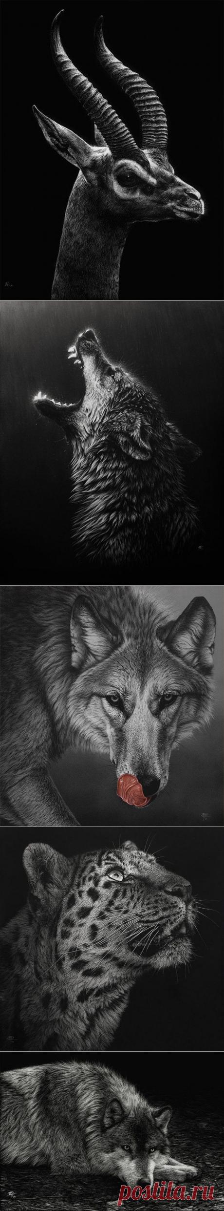 Картины животных в технике граттаж от художницы Cristina Penescu