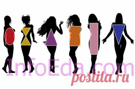 Типы фигуры у женщин и девушек (виды, как правильно определить, что лучше носить по типу фигуры | InfoEda.com