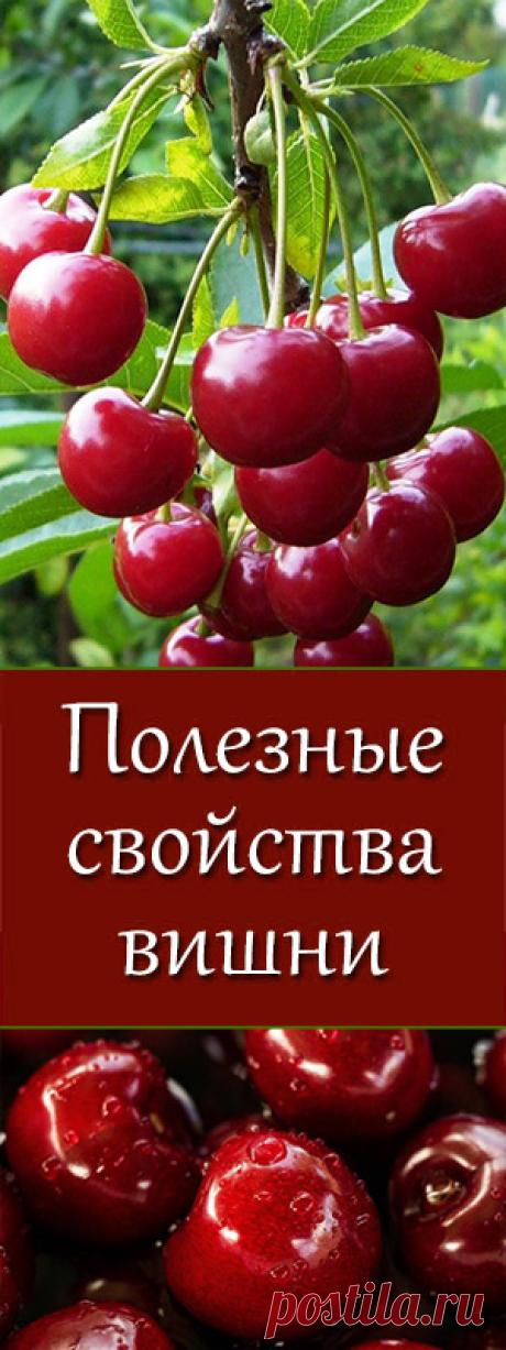 Польза вишни и черешни. Как обычная вишня благотворно влияет на здоровье. Питание, пп, зож, похудение, диеты