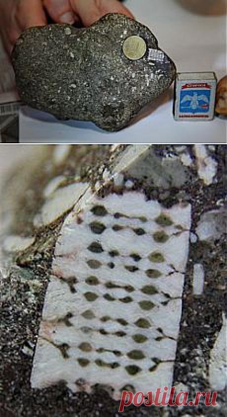 В кубанской реке нашли доисторический камень с «микросхемой»