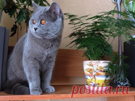 Римма Павлова
107 лет, Россия, Тейково