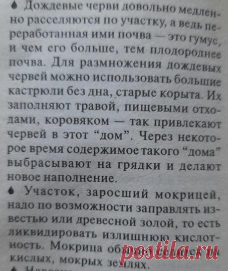 Огород.
Полезные дождевые черви.
Мокрица