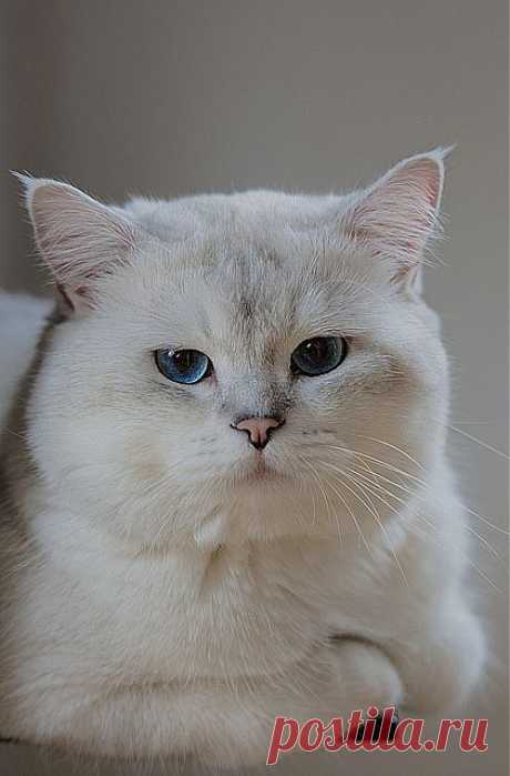 shaded point | Flickr - Photo Sharing!