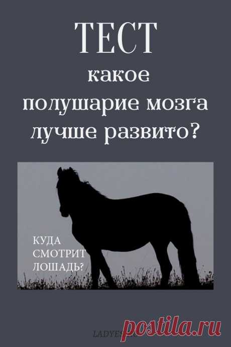 Тест. Определите своё доминирующее полушарие головного мозга
