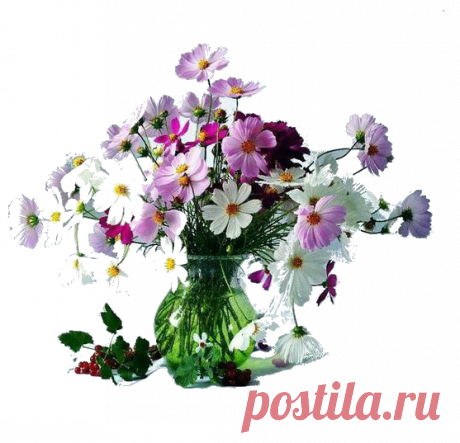 КЛИПАРТЫ ИЛИ КАРТИНКИ ПНГ НА ПРОЗРАЧНОЙ ОСНОВЕ... МОЙ ДЕБЮТ...