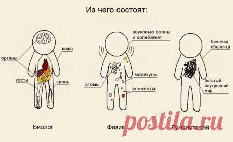 О чем шутят ученые