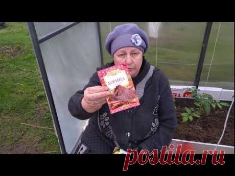 Как избавиться от муравьёв. Гарантия 100 %