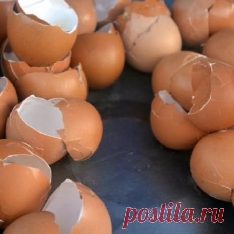 Все об оружии