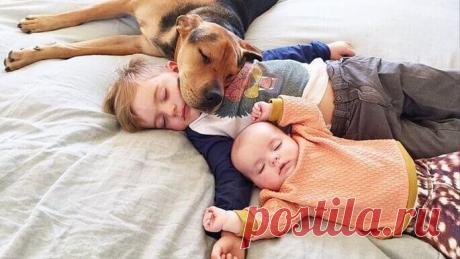 Куда правильно спать головой — все секреты здорового сна Куда правильно спать головой — все секреты здорового сна
Каждый хоть один раз в жизни задавался вопросом «Куда спать головой правильно»?
Чаще всего это те люди, которые недавно сменили свое место жите...