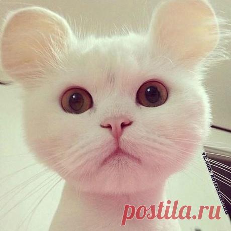 Мир взглядов и мыслей