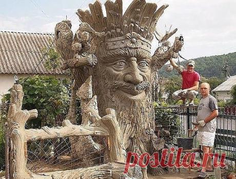 Мужчина сотворил из поваленного дерева