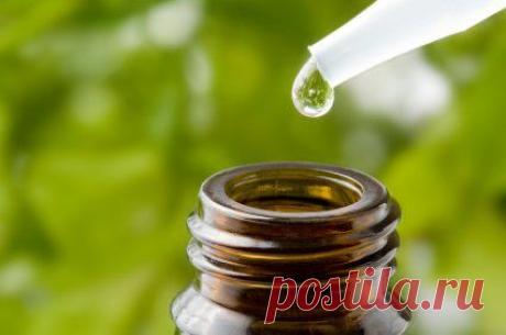 ИДЕАЛЬНАЯ ХОЗЯЙКА. Уют. Здоровье. Красота.