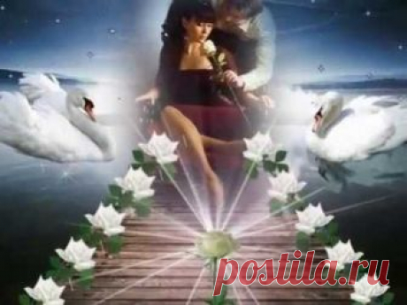 Аркадий Кобяков -  Моя любовь,как лебедь белая...