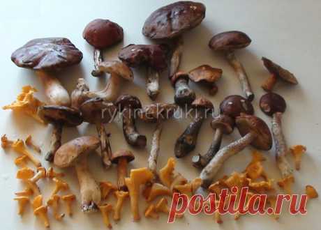 Мариновка грибов своими руками | Руки не Крюки