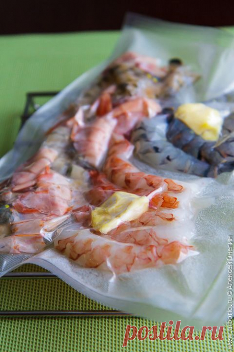 Технология су-вид: полный путеводитель | Кулинарные заметки Алексея Онегина