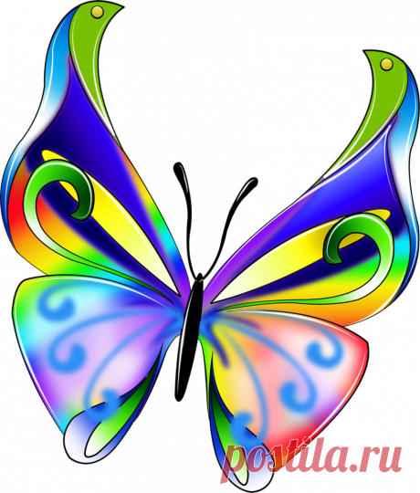 Яндекс.Фотки